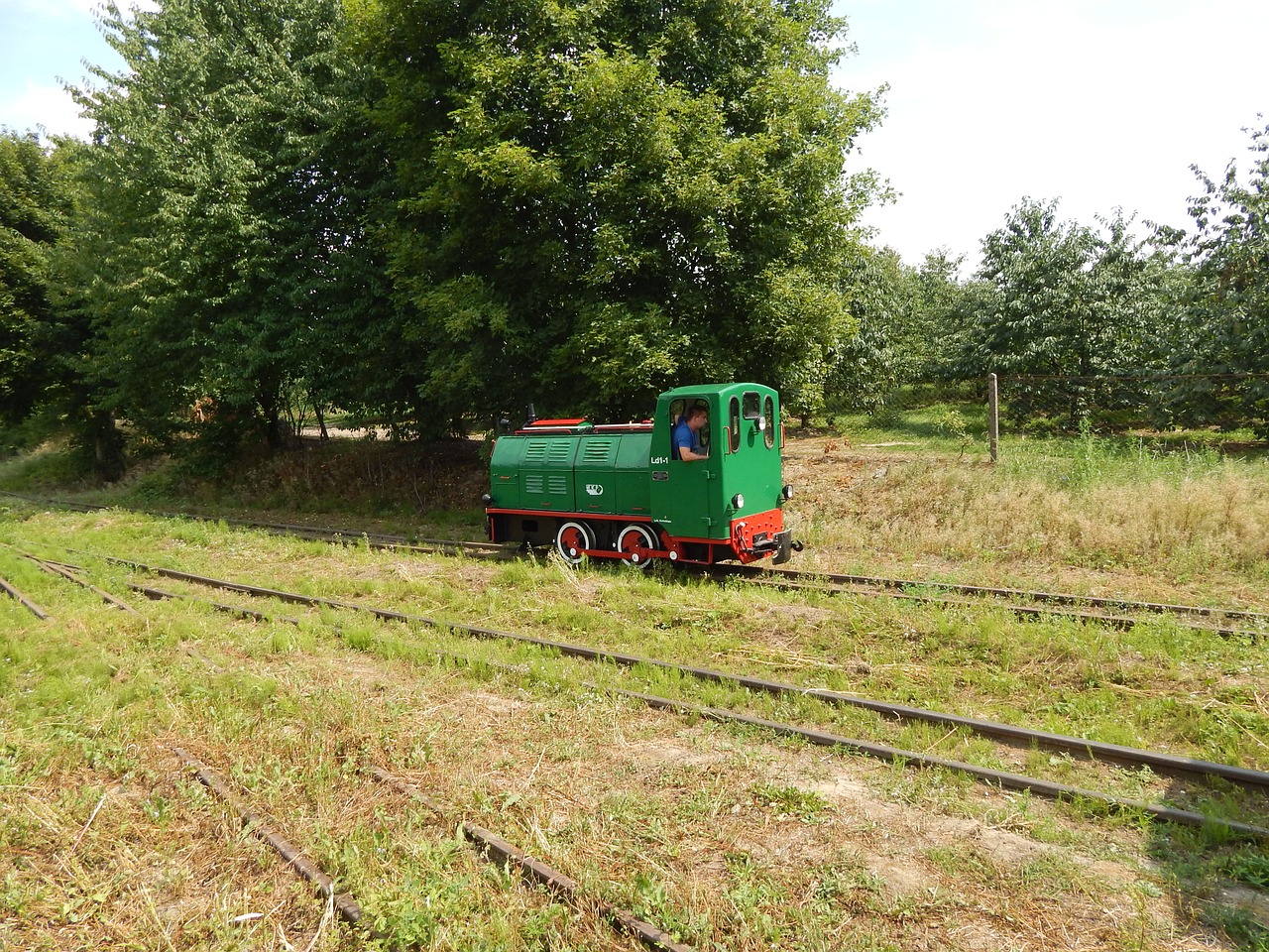 narrow-gauge railway train locomotive free photo