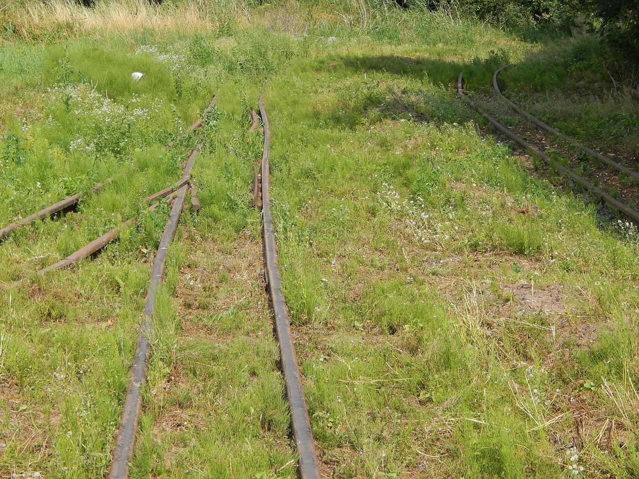 edit-free-photo-of-narrow-gauge-railway-tracks-rails-free-pictures