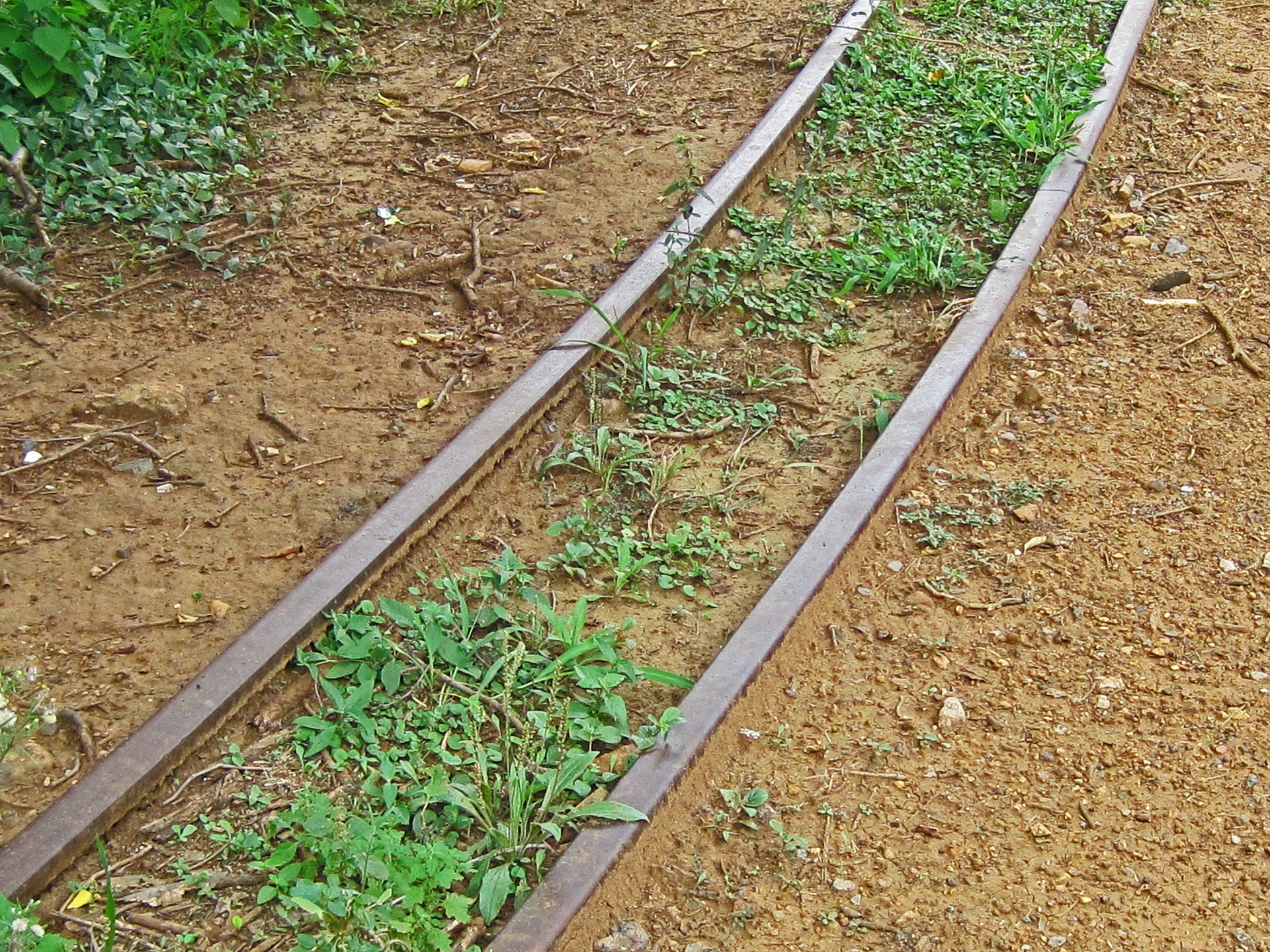 tracks train railroad free photo