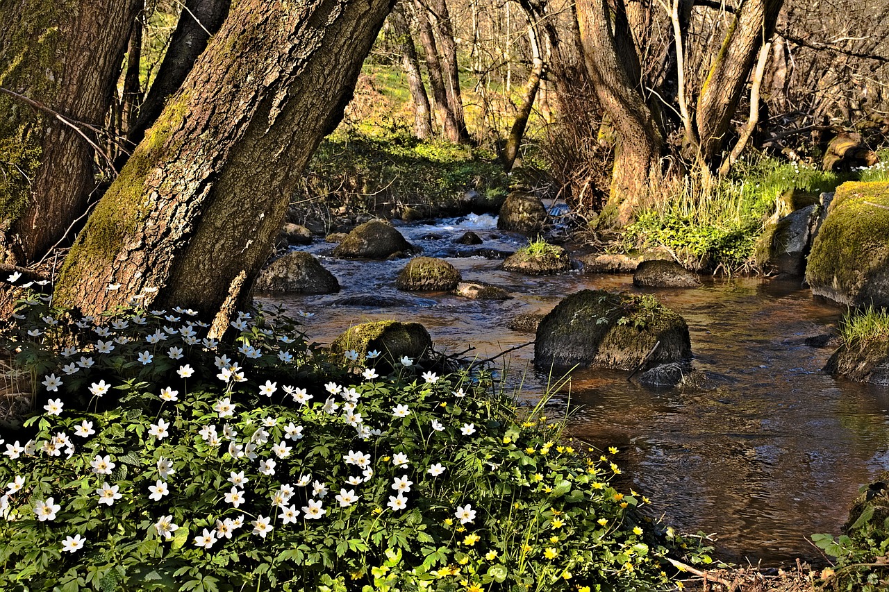 narvau gorge morvan nièvre free photo