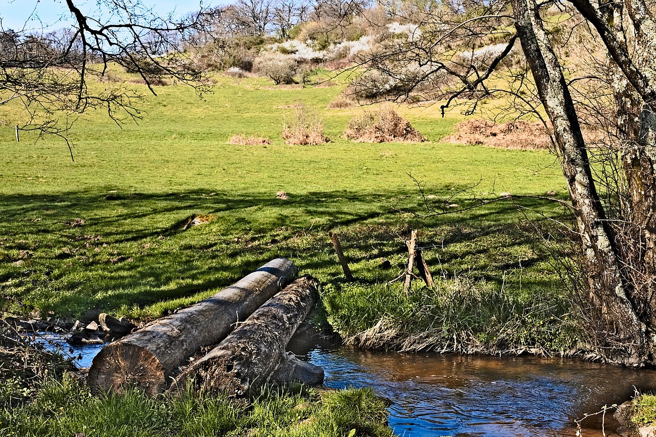 narvau gorge morvan nièvre free photo