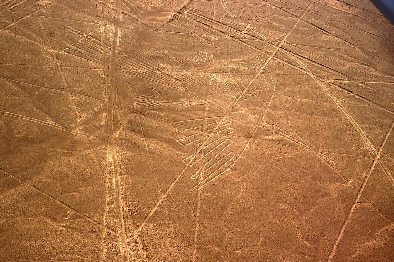 nasca scratching pictures condor free photo