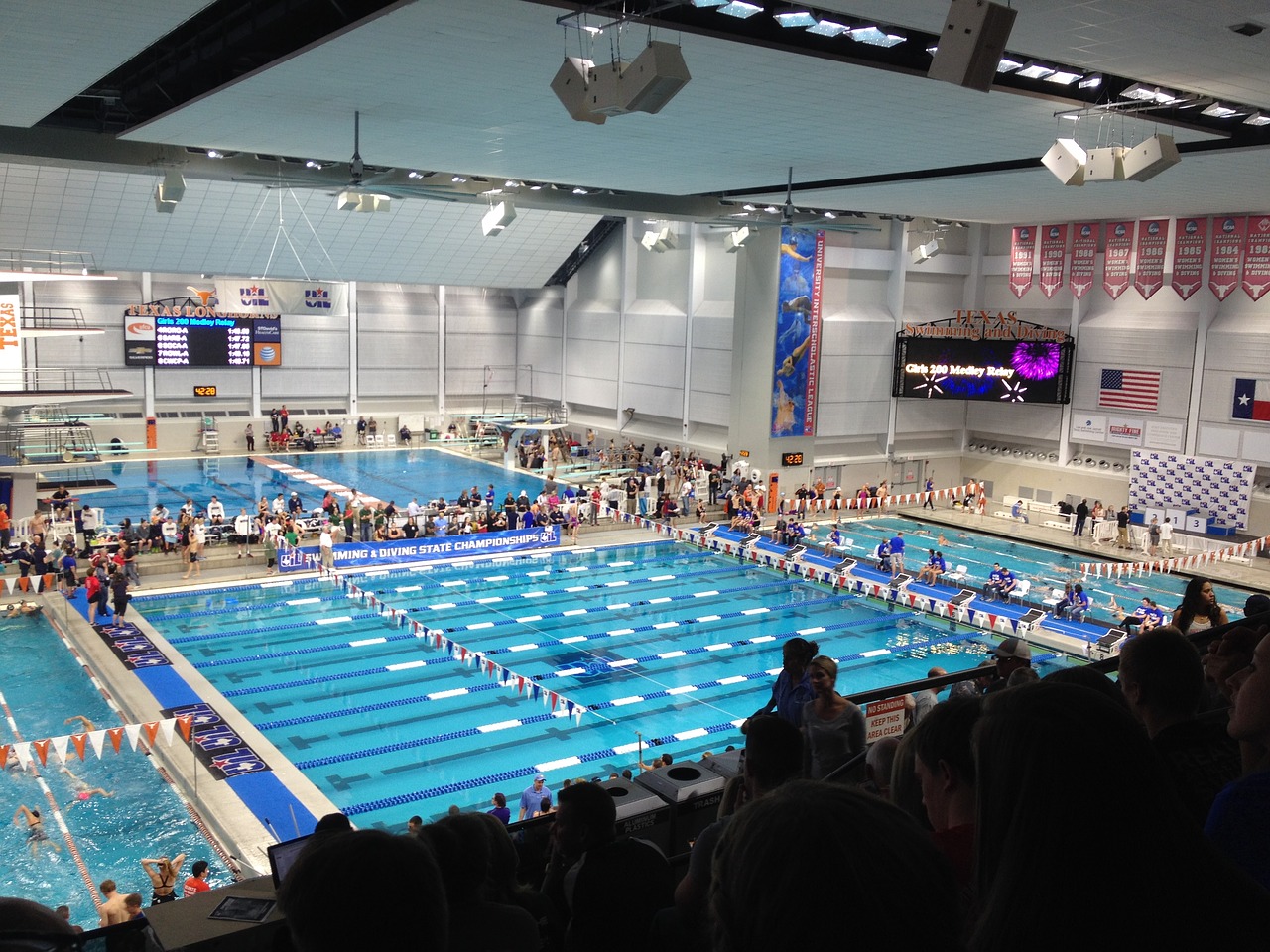 natatorium swim pool free photo