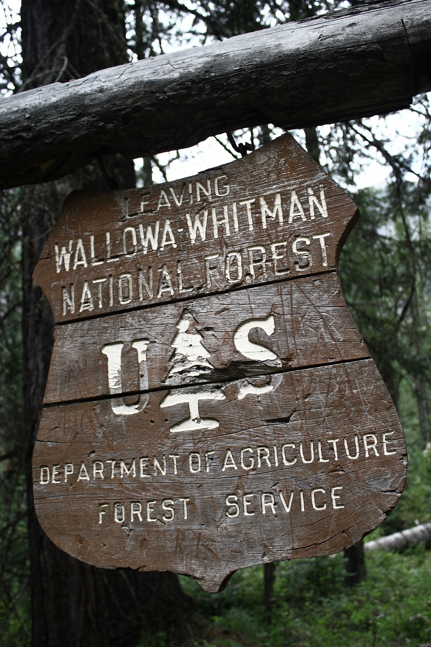 national forest sign free photo