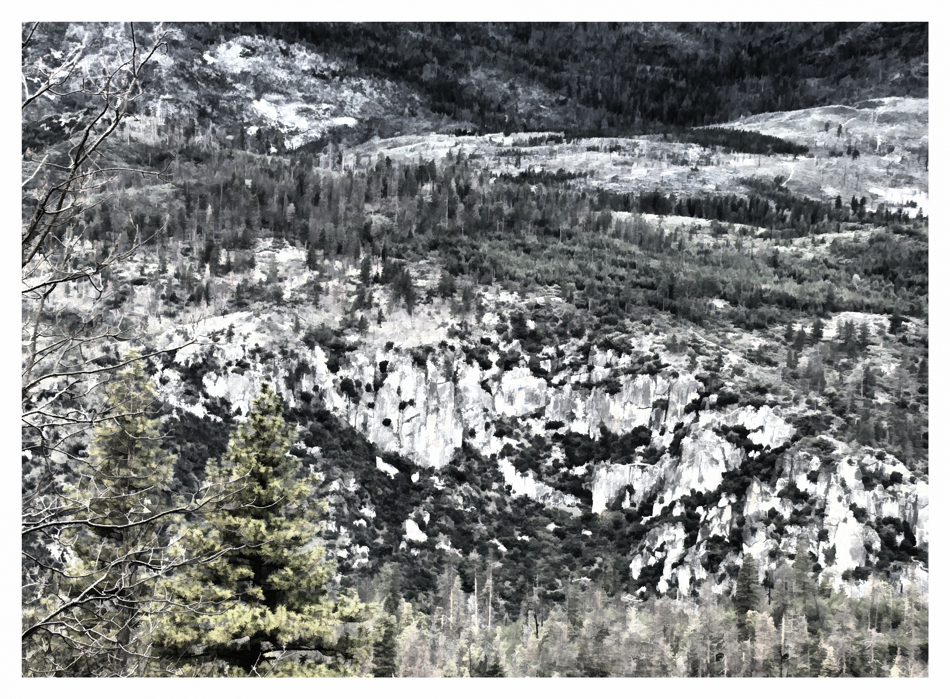 yosemite yosemite national park mountain free photo