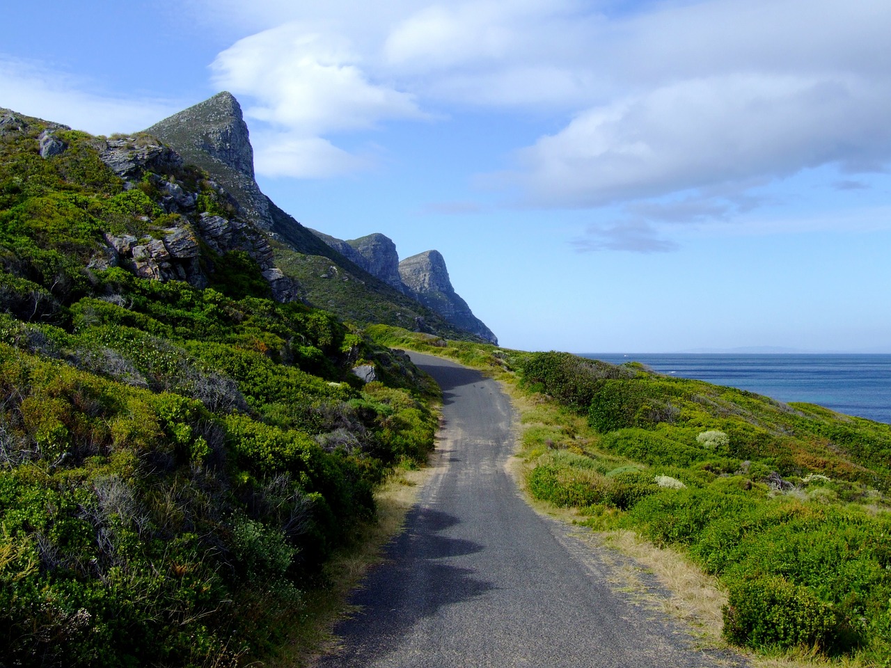 national park cape of good hope south africa free photo