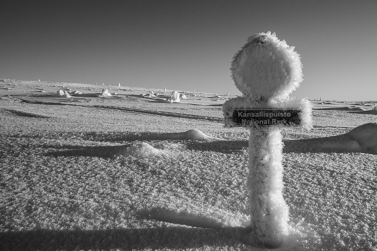 national park  finland  lapland free photo