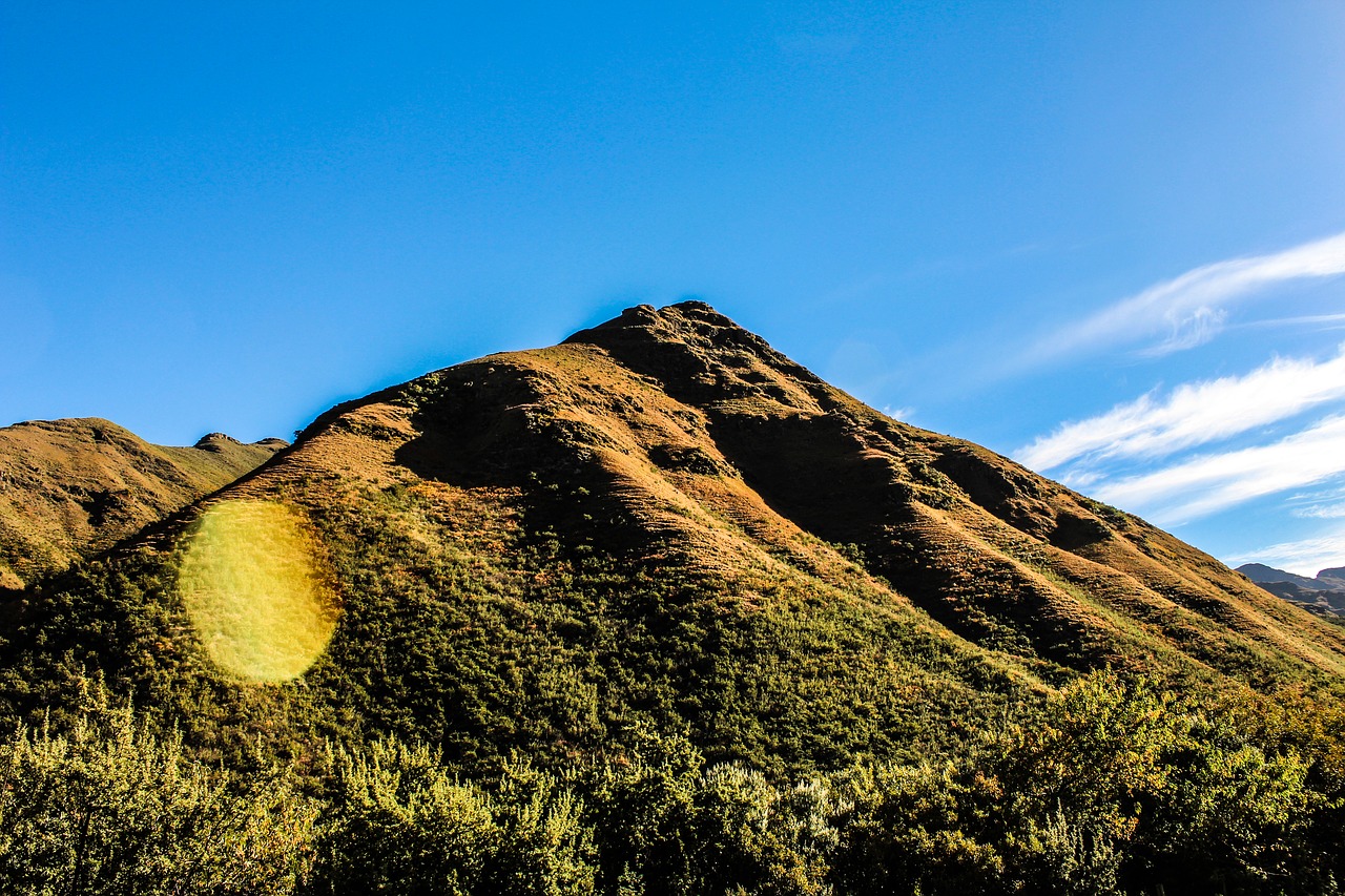 national park  reserve  nature free photo