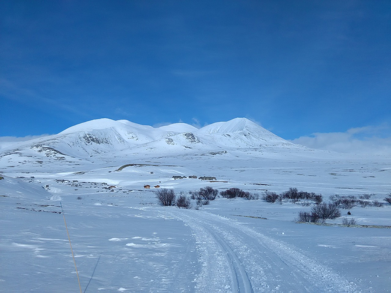 national park norway rondane free photo