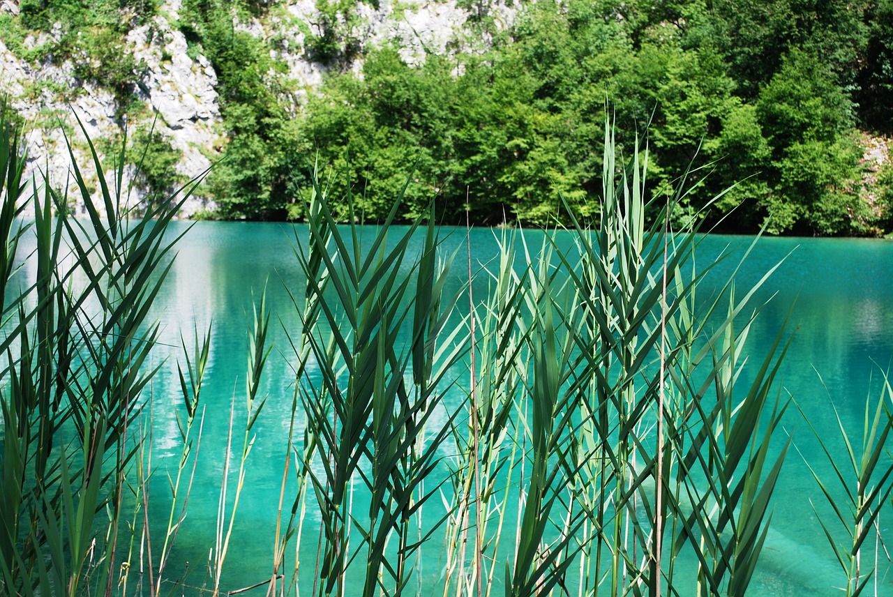 national park croatia plitvice lakes lake free photo