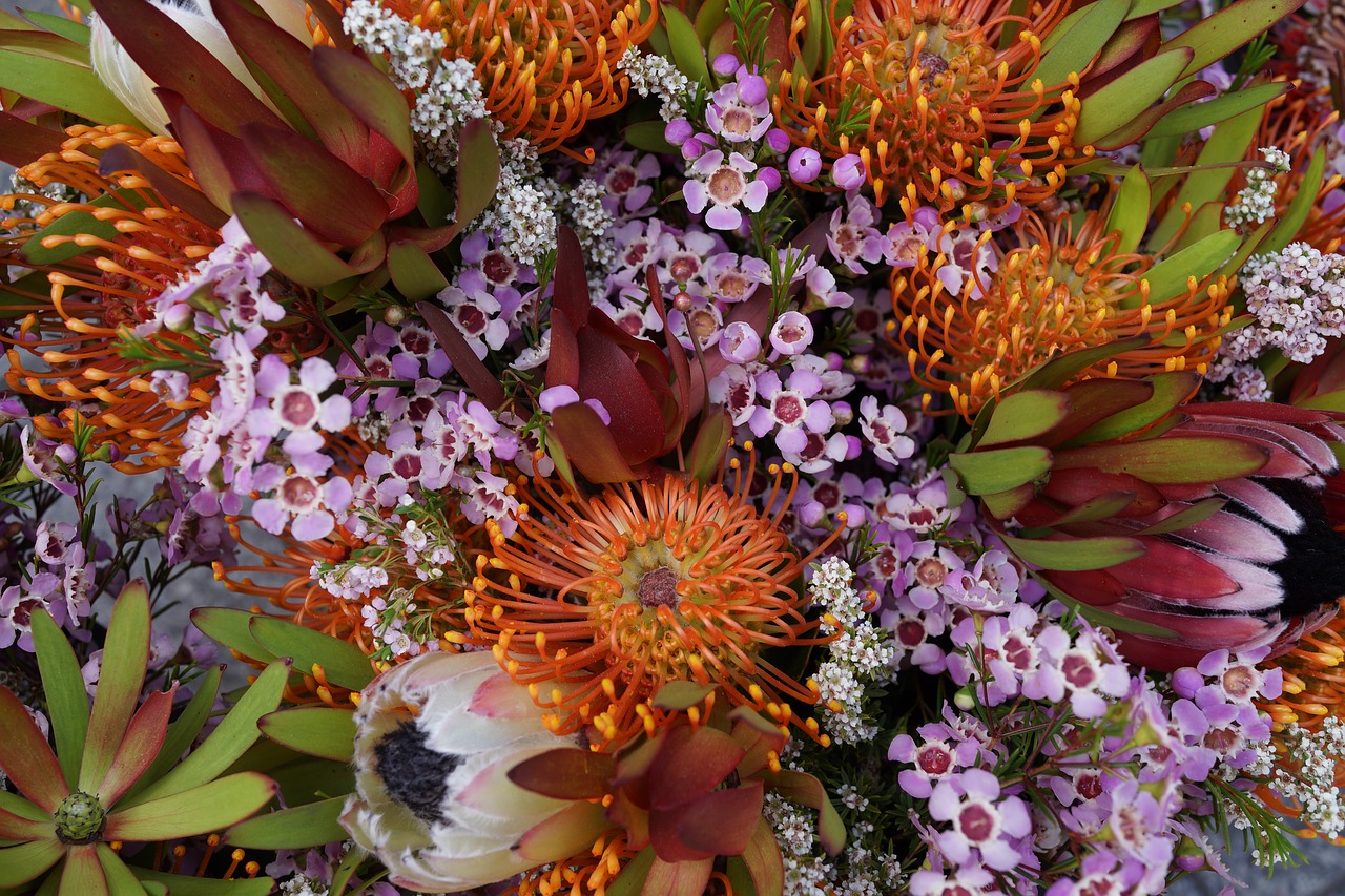 natives floral bouquet blossom free photo