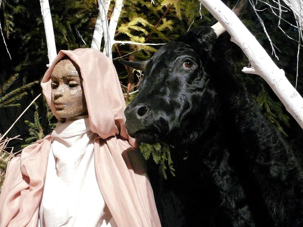 maria with ox hertogenbosch nativity scene free photo