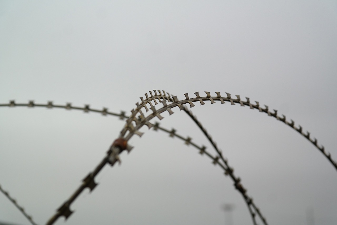 nato wire barbed wire sharp free photo