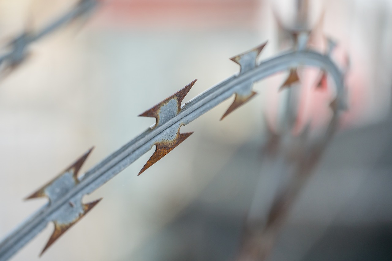natodraht  barbed wire  fence free photo