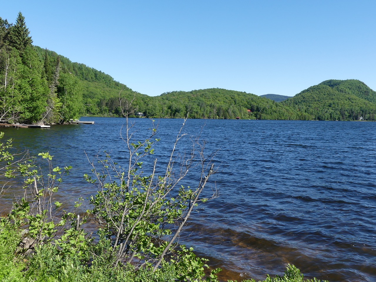 natur tourism lake free photo