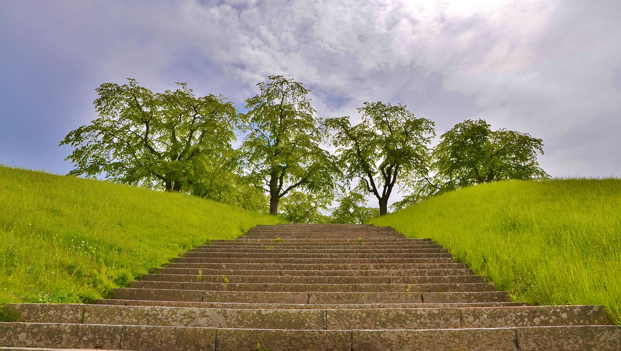 natur grass summer free photo