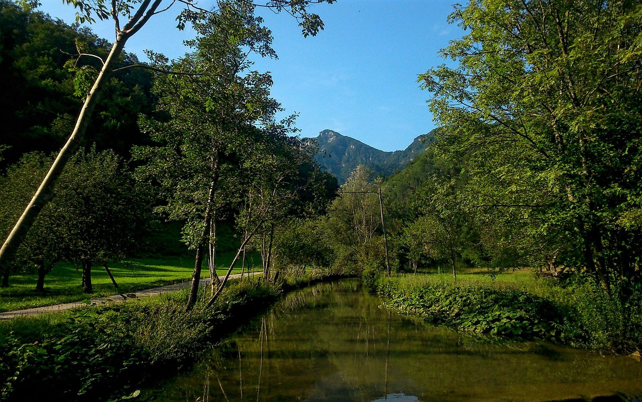 natur creek water free photo