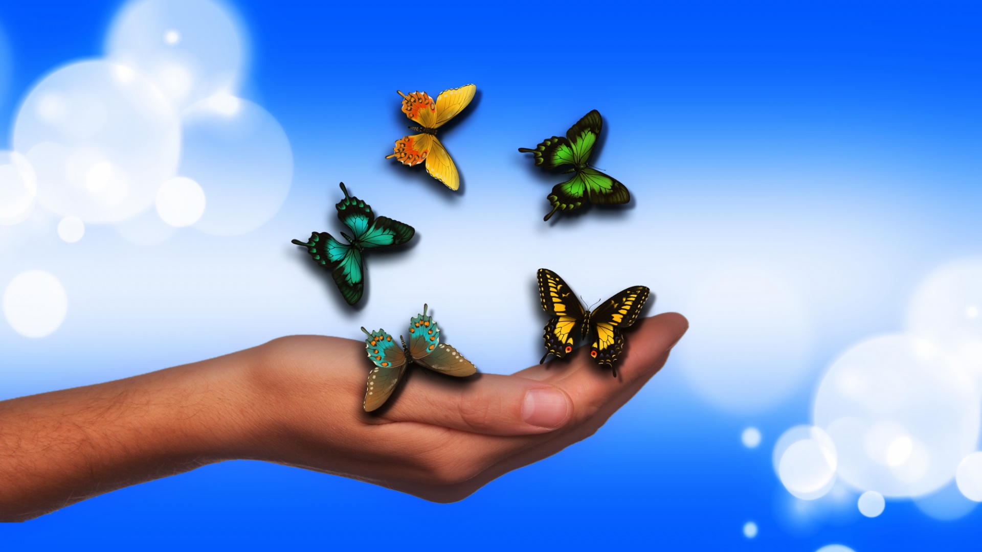 hand butterflies background free photo