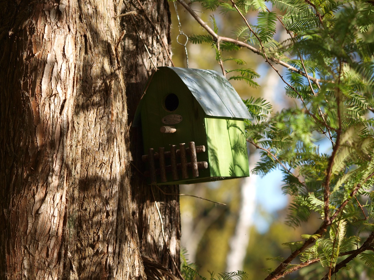 natural nesting box autumn free photo