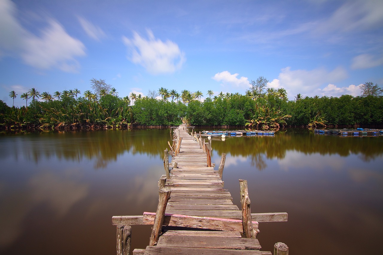 natural jetty river free photo