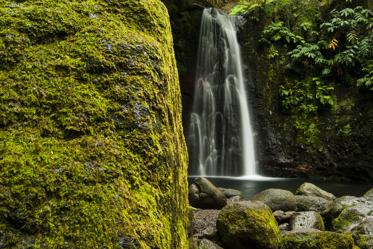 natural landscape waterfall free photo