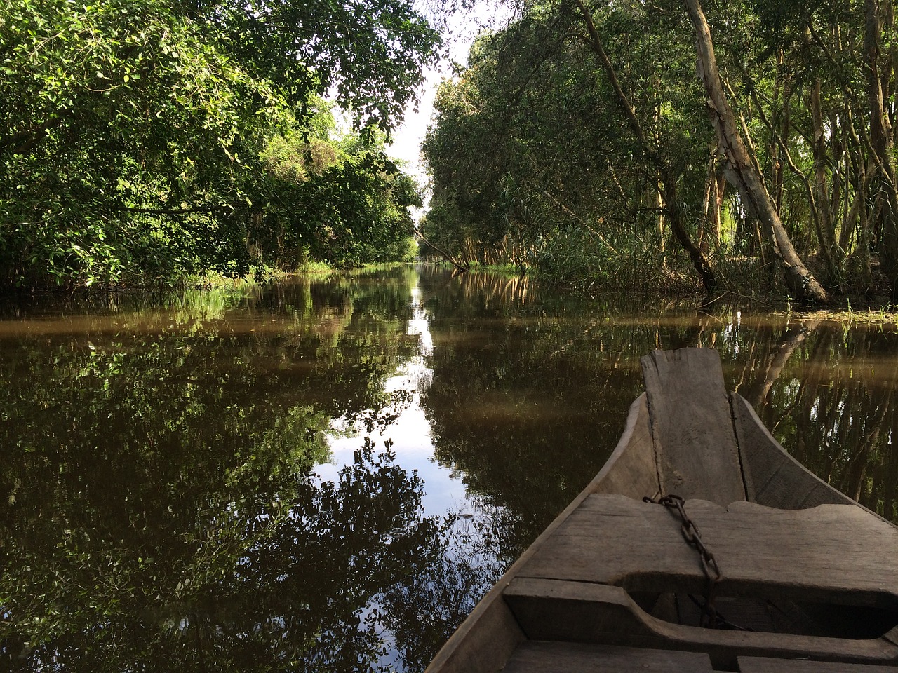 natural viet nam countryside free photo