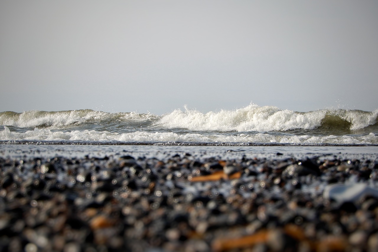 natural sea beach free photo