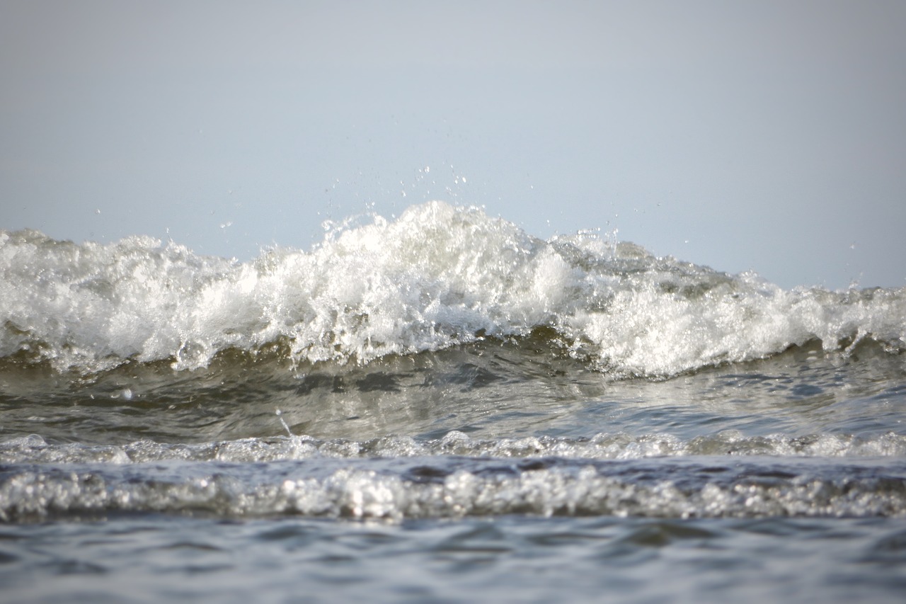 natural sea beach free photo