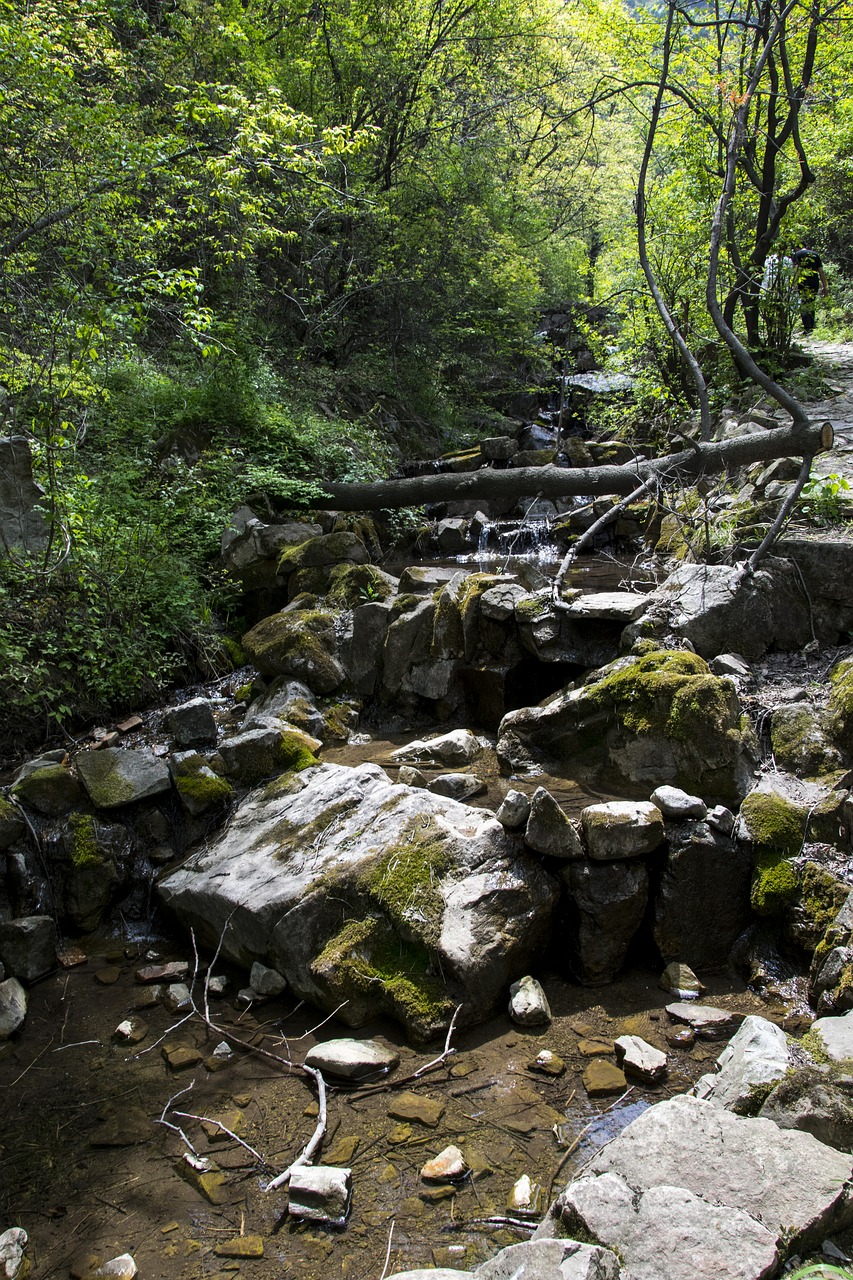 natural mountains and rivers streams free photo