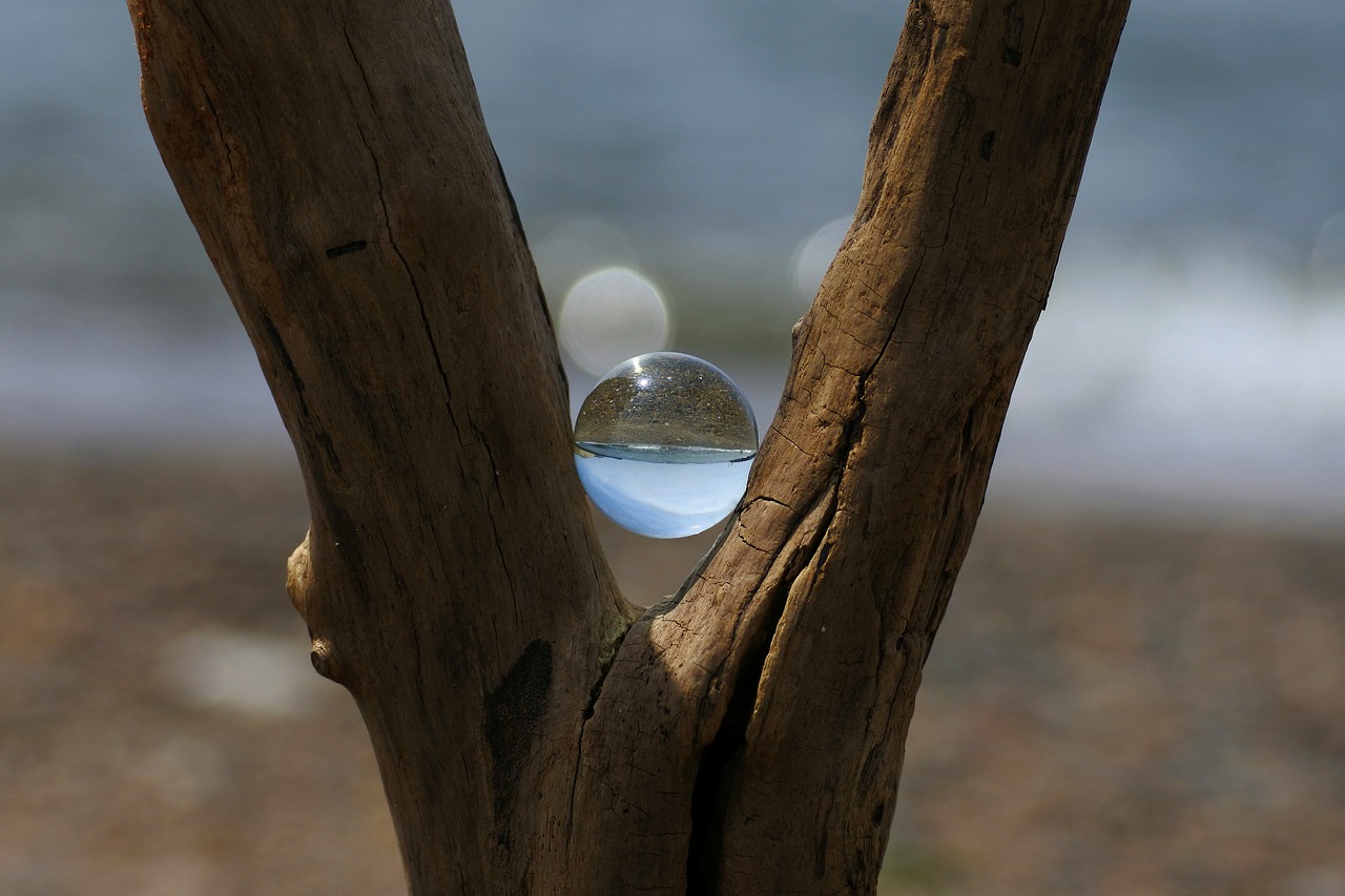 natural landscape sea free photo