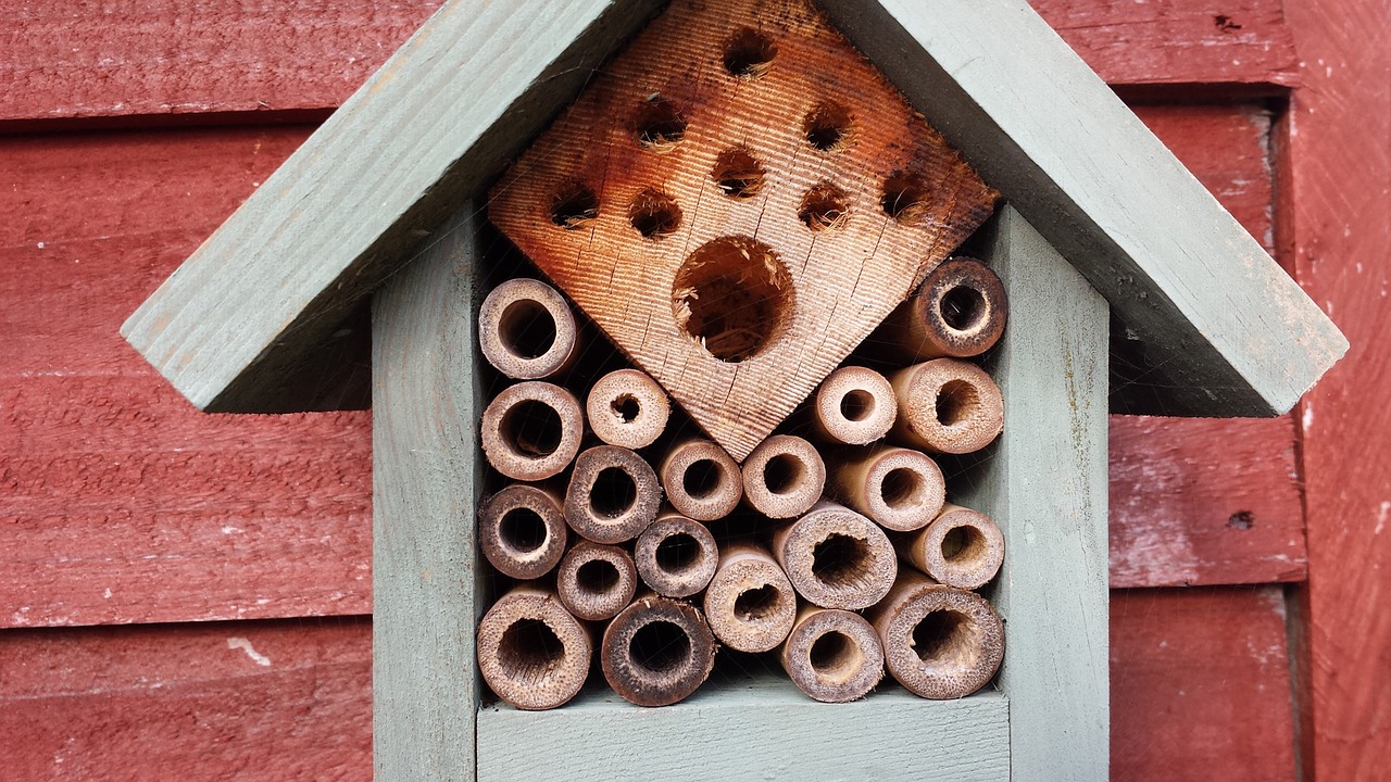 natural bees wood free photo