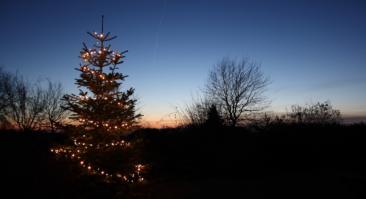 natural blushing morning there was moonlight landscape free photo