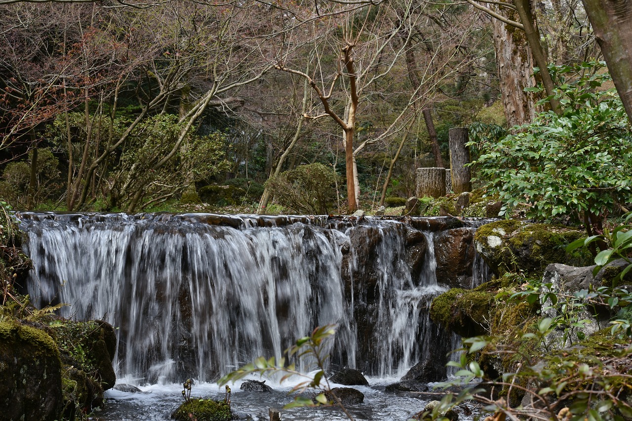 natural  landscape  park free photo