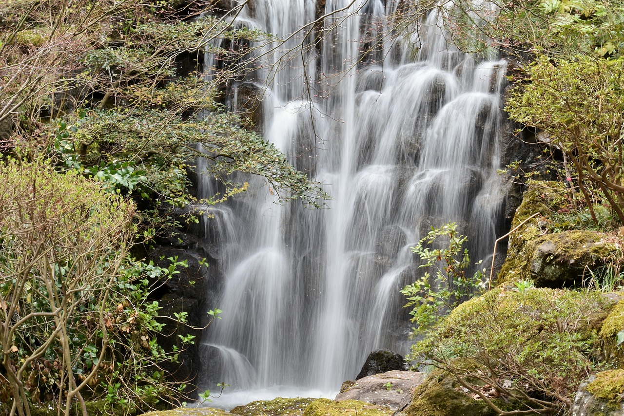 natural  landscape  wood free photo