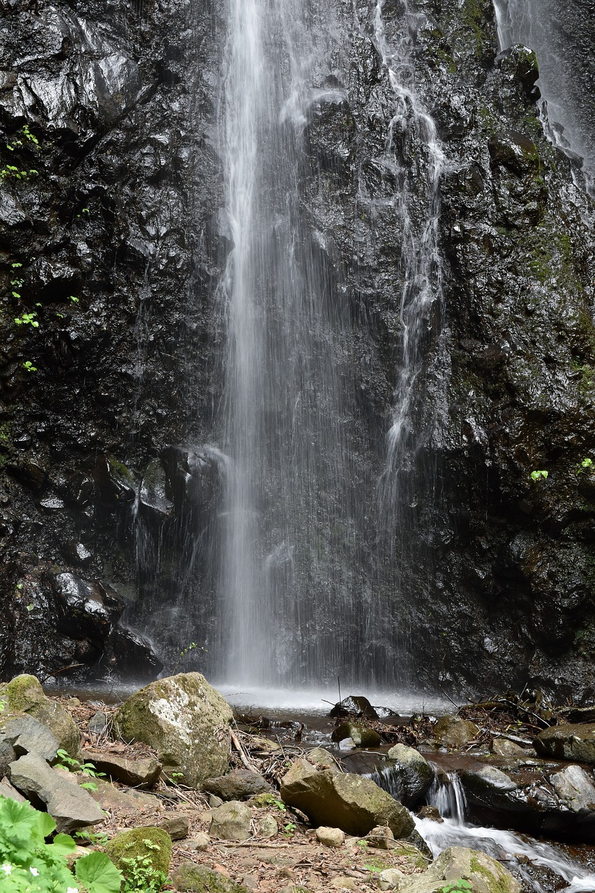 natural  landscape  rock free photo