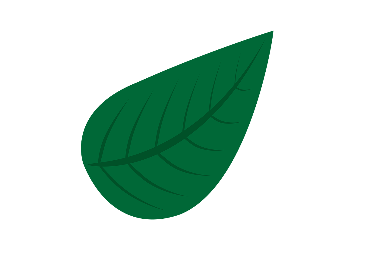 Листок флэт. Flat листья. Лист флэт "белый". Leaf icon.