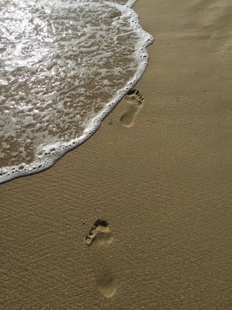 natural  the beach  the sea free photo