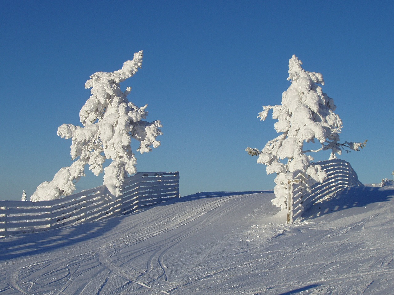 natural winter snow free photo