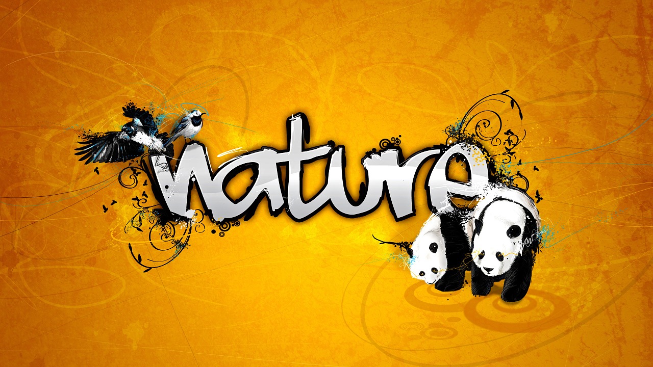 natural background nature free photo