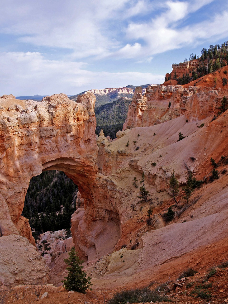 natural bridge bryce canyon utah free photo