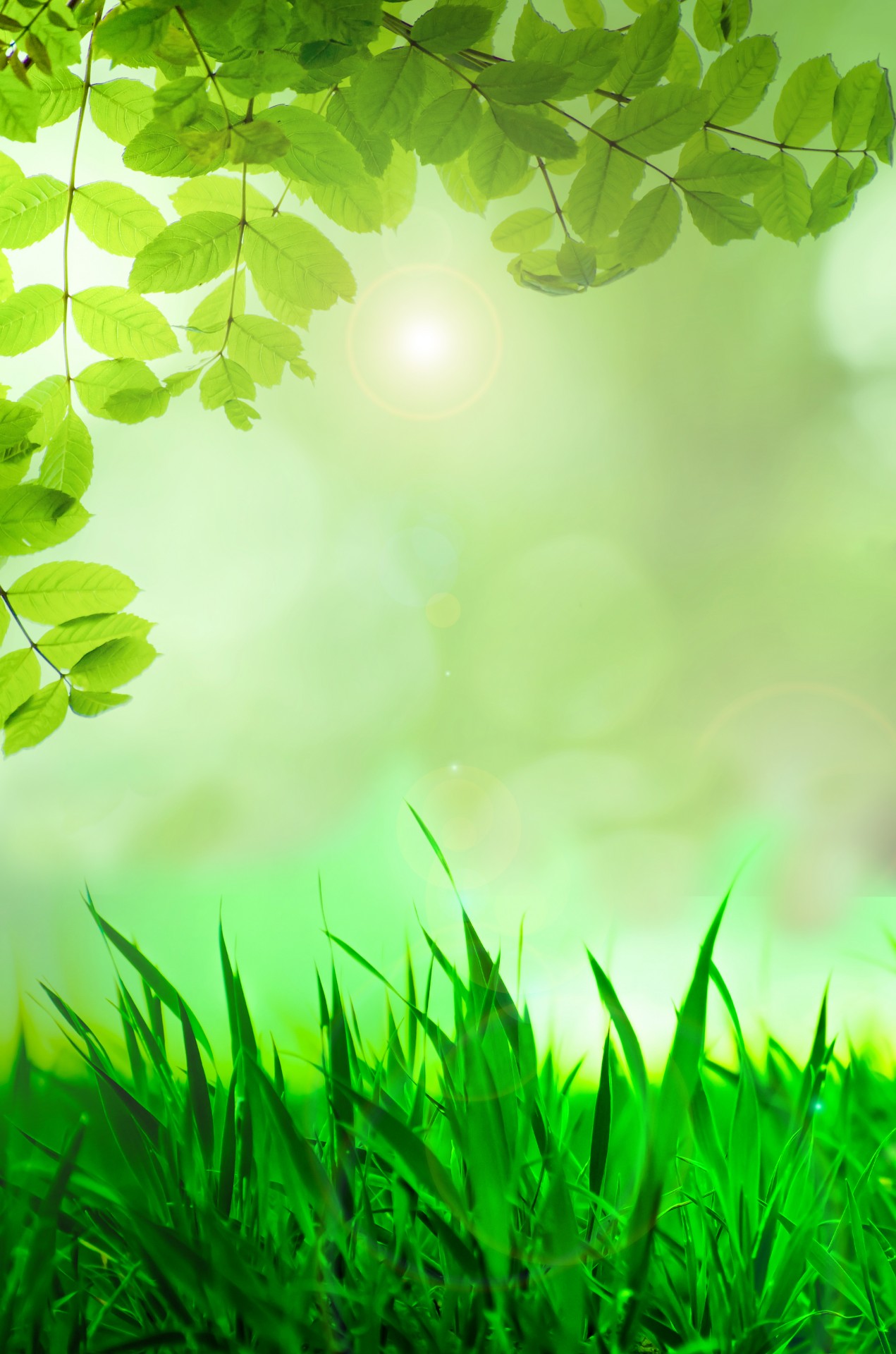Background,spring,green,grass,tree - free image from 