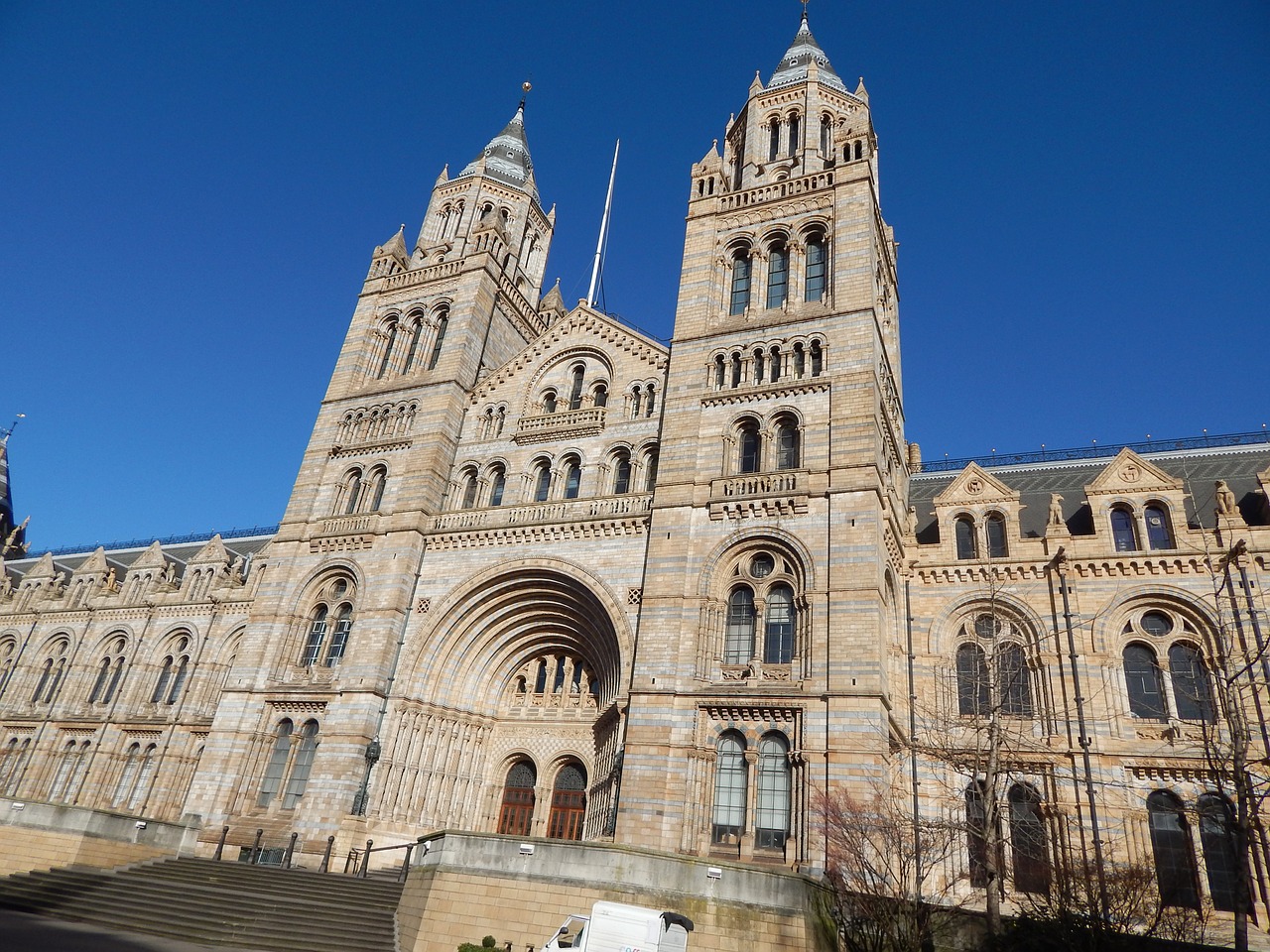 natural history museum museum uk free photo