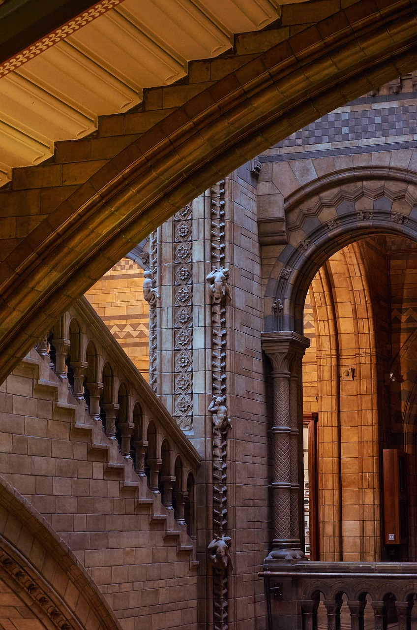 natural history museum london staircase free photo