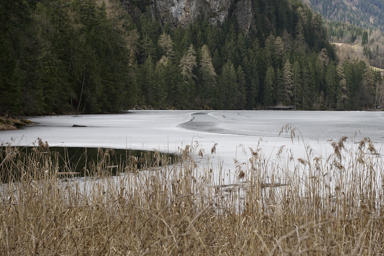 natural lake  to freeze free pictures free photo