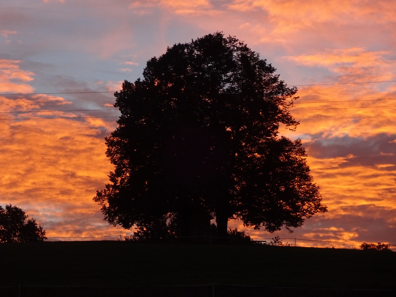 natural monument morgenstimmung red sky free photo