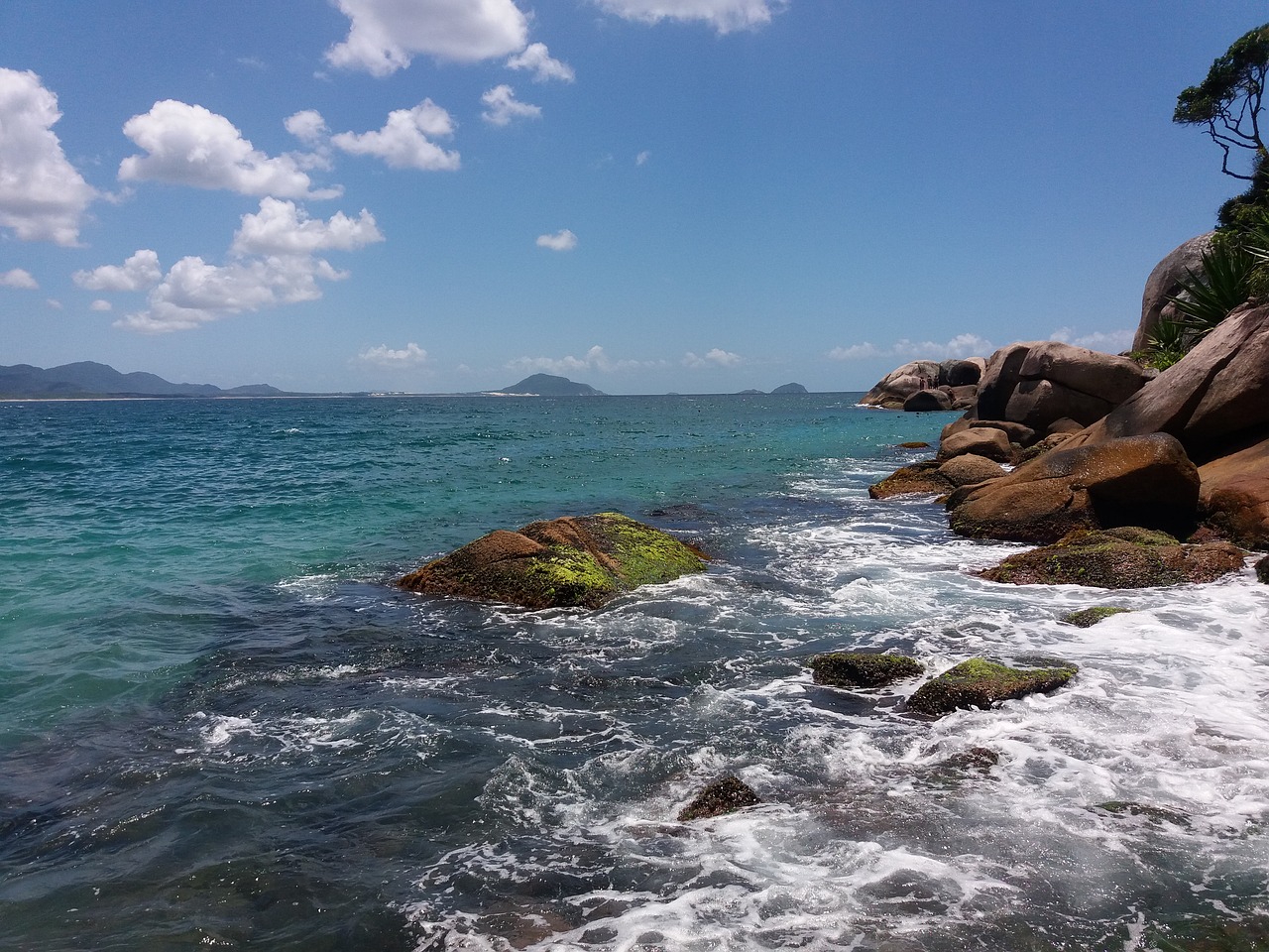 florianopolis ocean summer free photo