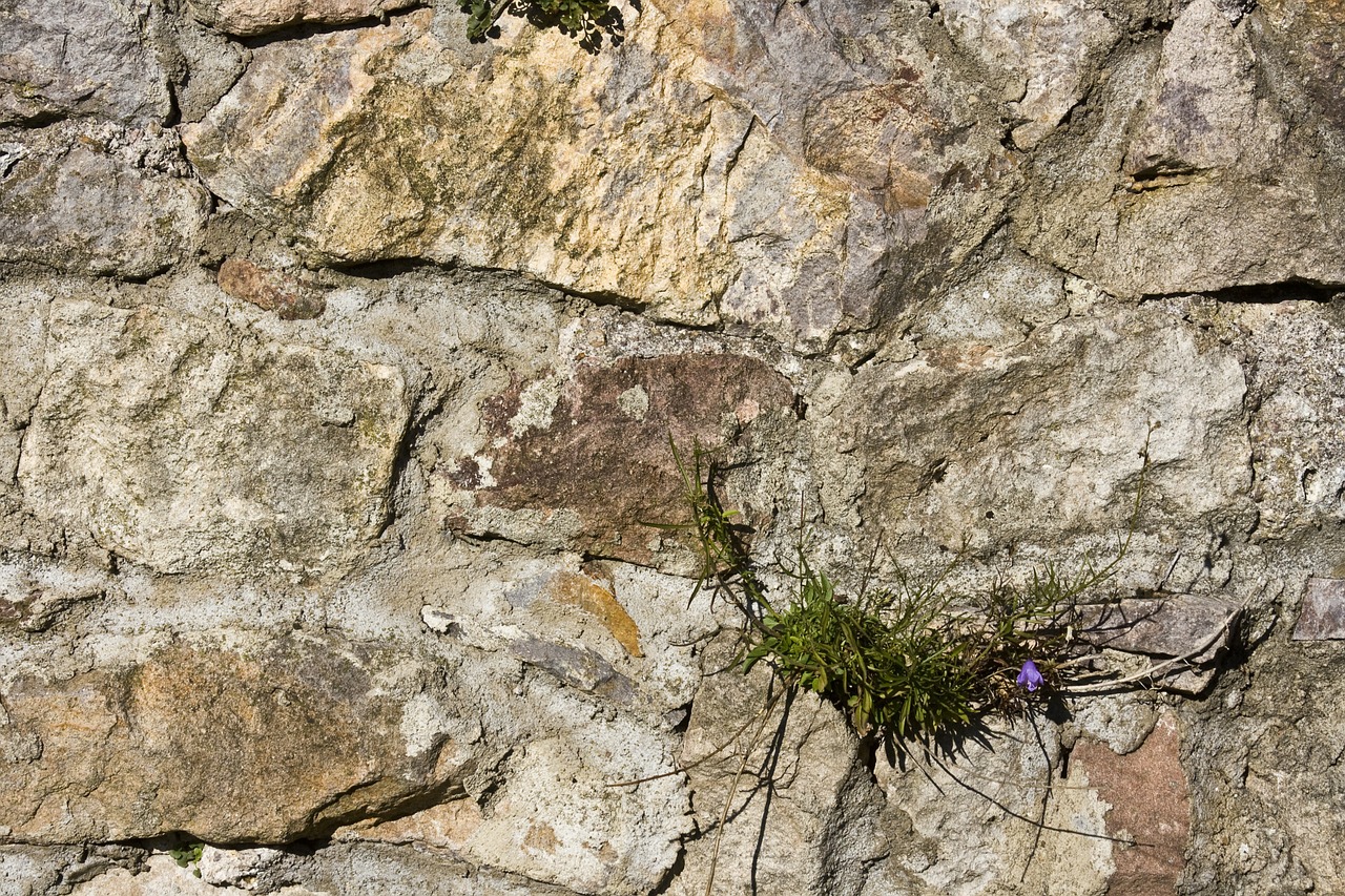 natural stone wall sand stone wall free photo