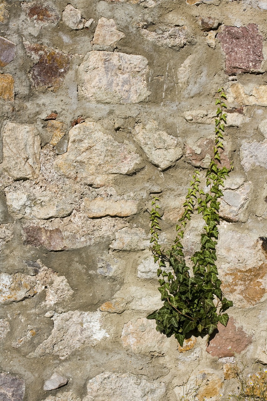 natural stone wall brick wall brick free photo