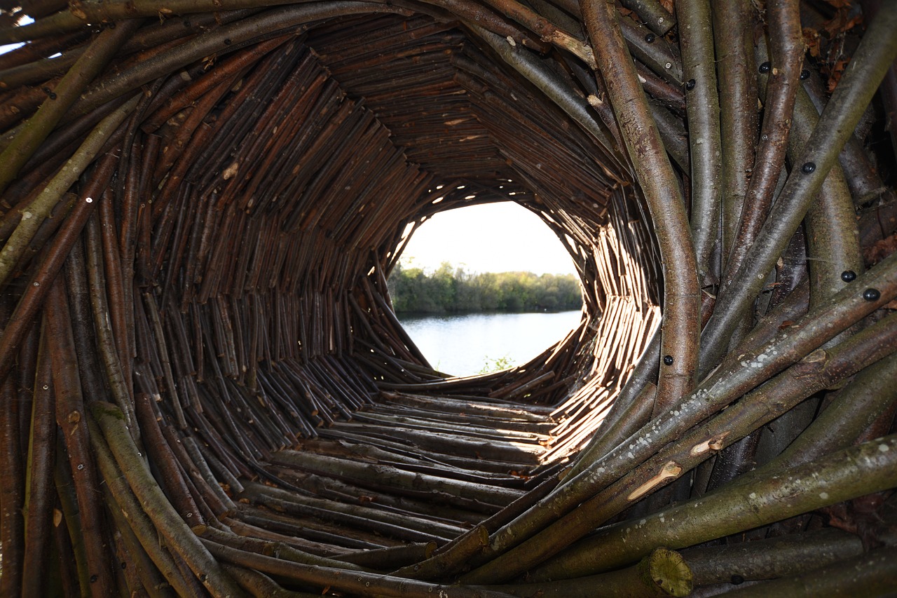 natural structure wooden spiral spiral free photo
