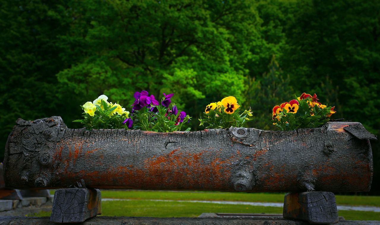 natural vase flowers natural free photo